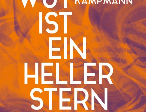 Die Wut ist ein heller Stern