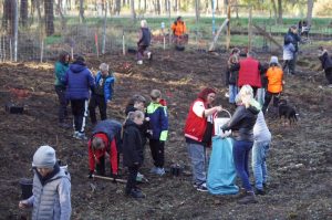 Aufforstung in Arneburg © Lothar Hinz