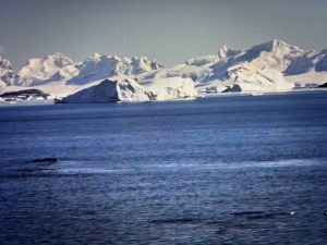 Antarktis-1