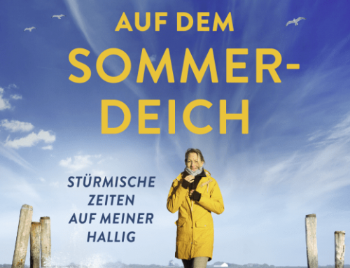 Gegenwind auf dem Sommerdeich