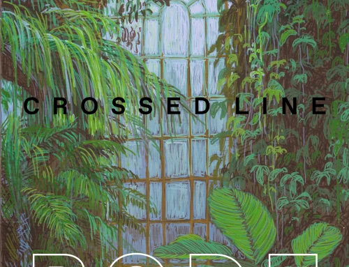 Asta Rode: Crossed Line
